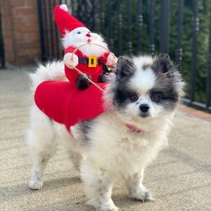 Christmas Dog costume Santa riding dog size Medium